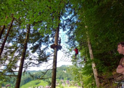 Parcours adultes forêt des dodes
