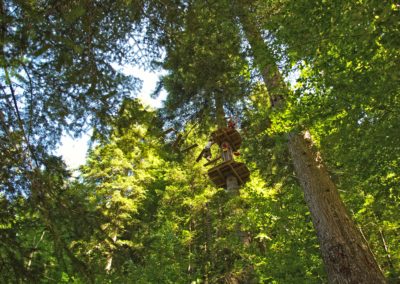 Meilleur parcours accrobranche de Haute Savoie